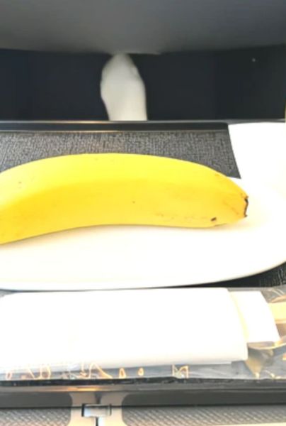 Plant Based News | Viajero pide menú vegano durante vuelo y le sirven un plátano.